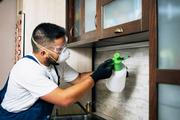 Best Pest Removal Services  in USA